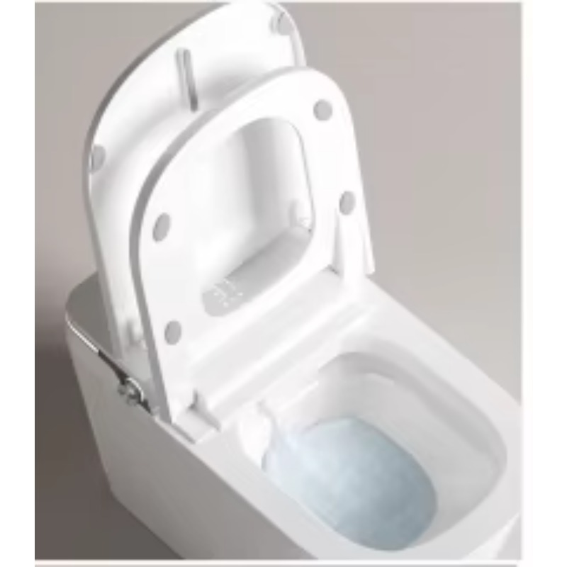 White Smart Toilet Square Bowl - đánh giá và giá Smart Home Control