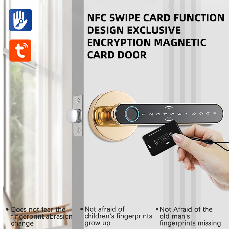Smart Fingerprint Door Lock Ha - đánh giá và giá Smart Home Keyestudio